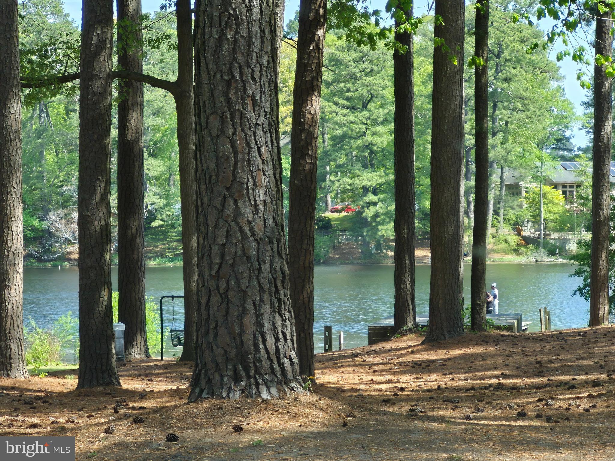 906 Loch Raven Road Salisbury, MD 21804 - Photo 33 of 38 Pier in distance