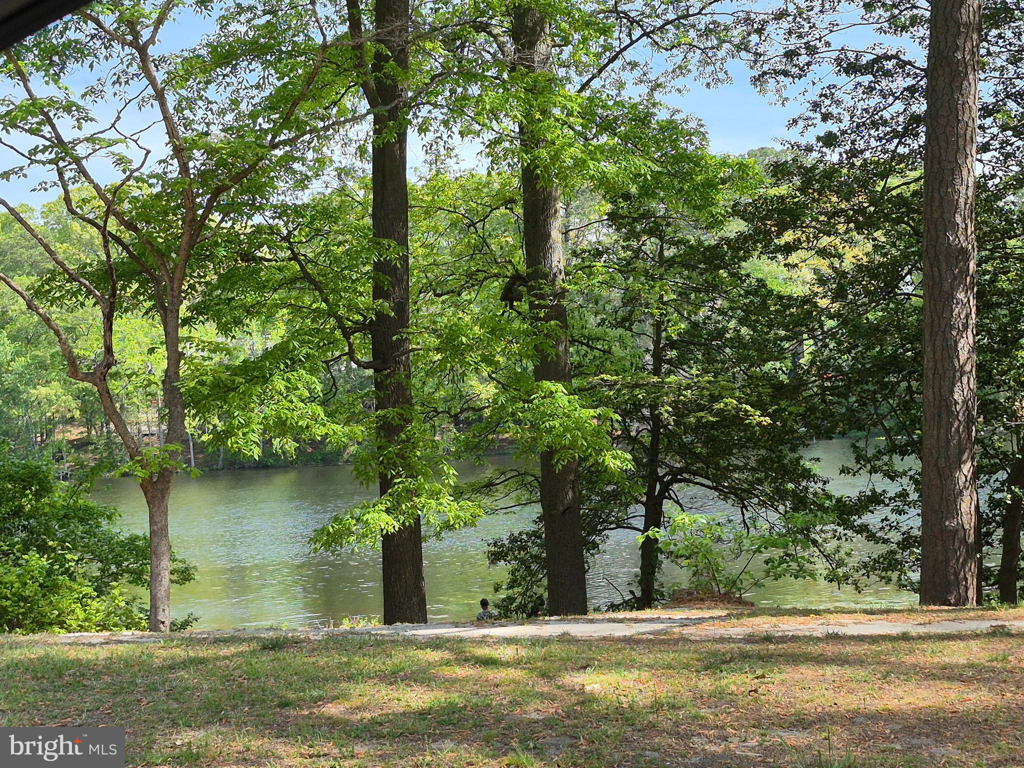 906 Loch Raven Road Salisbury, MD 21804 - Photo 34 of 38 Pond