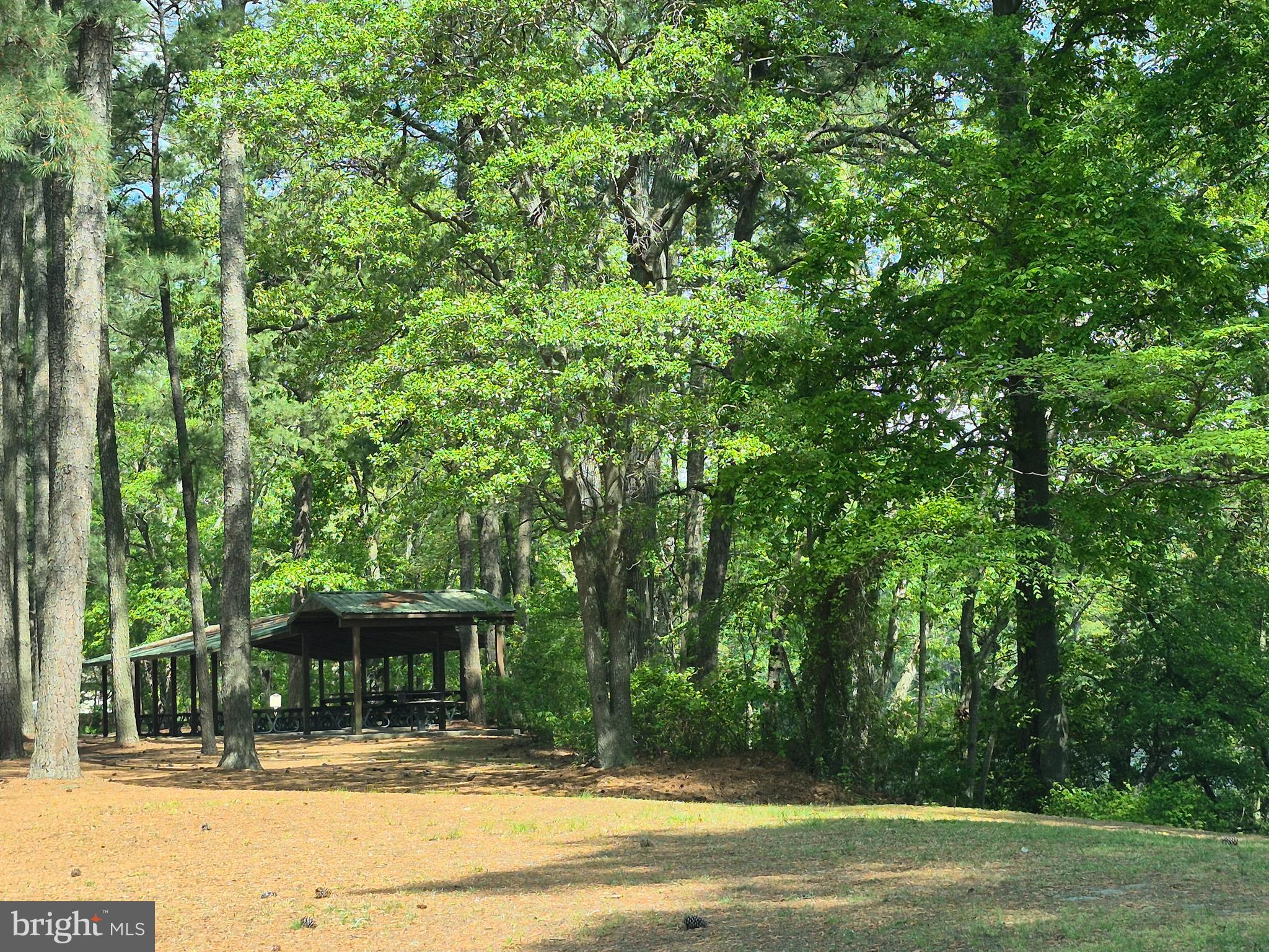 906 Loch Raven Road Salisbury, MD 21804 - Photo 35 of 38 Pavilion