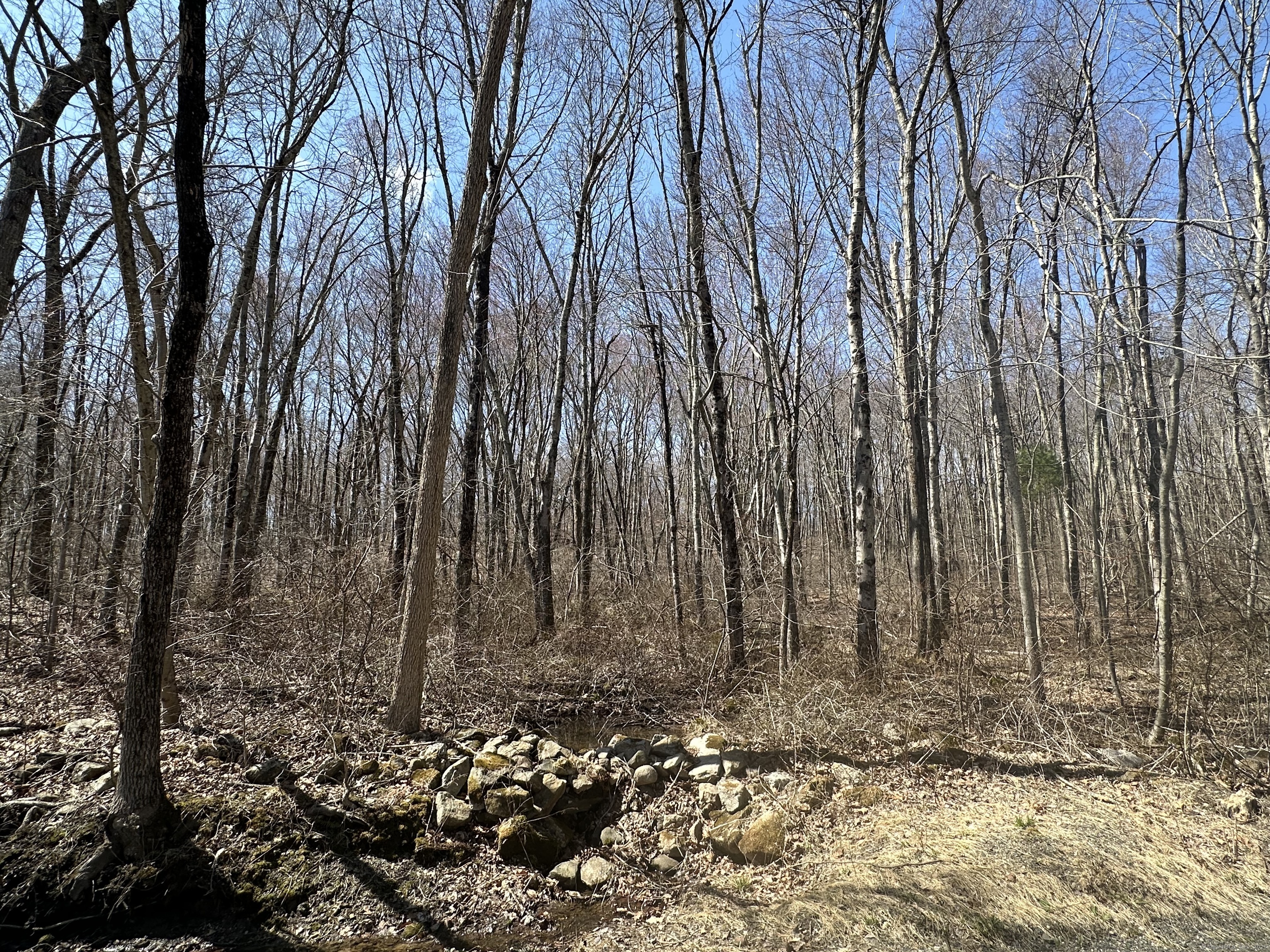 0 Cowles Road Woodbury, CT 06798 - Photo 7 of 12