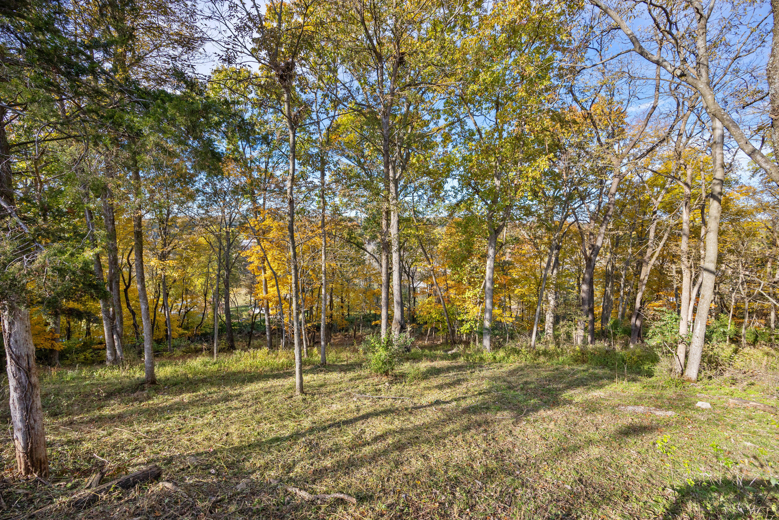 1785 Pope Road Danville, KY 40422 - Photo 27 of 34 Rear Exterior