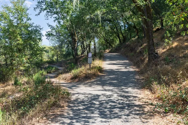 a view of a water fountain with large trees