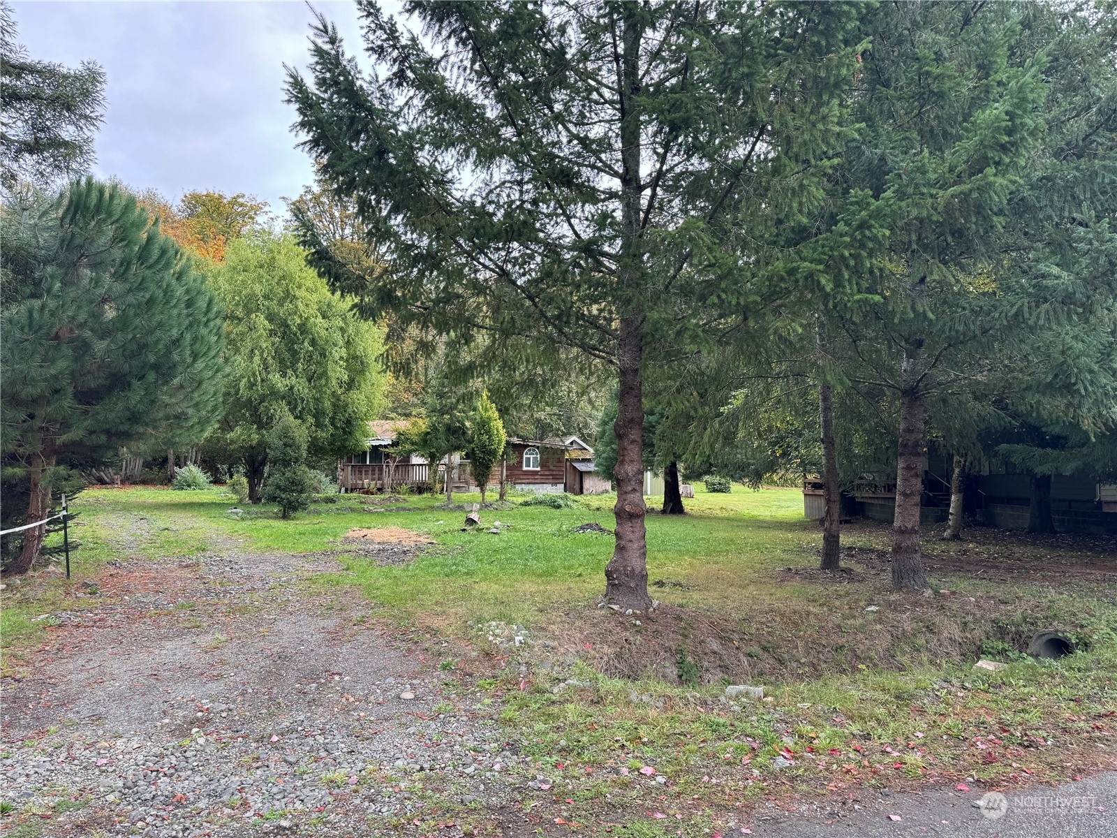 191 Kelly Road Brinnon, WA 98320 - Photo 1 of 12 Gallery Image 1