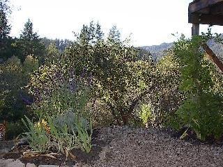 9356 Orchard Road Forestville, CA 95436 - Photo 10 of 11 Gallery Image 10