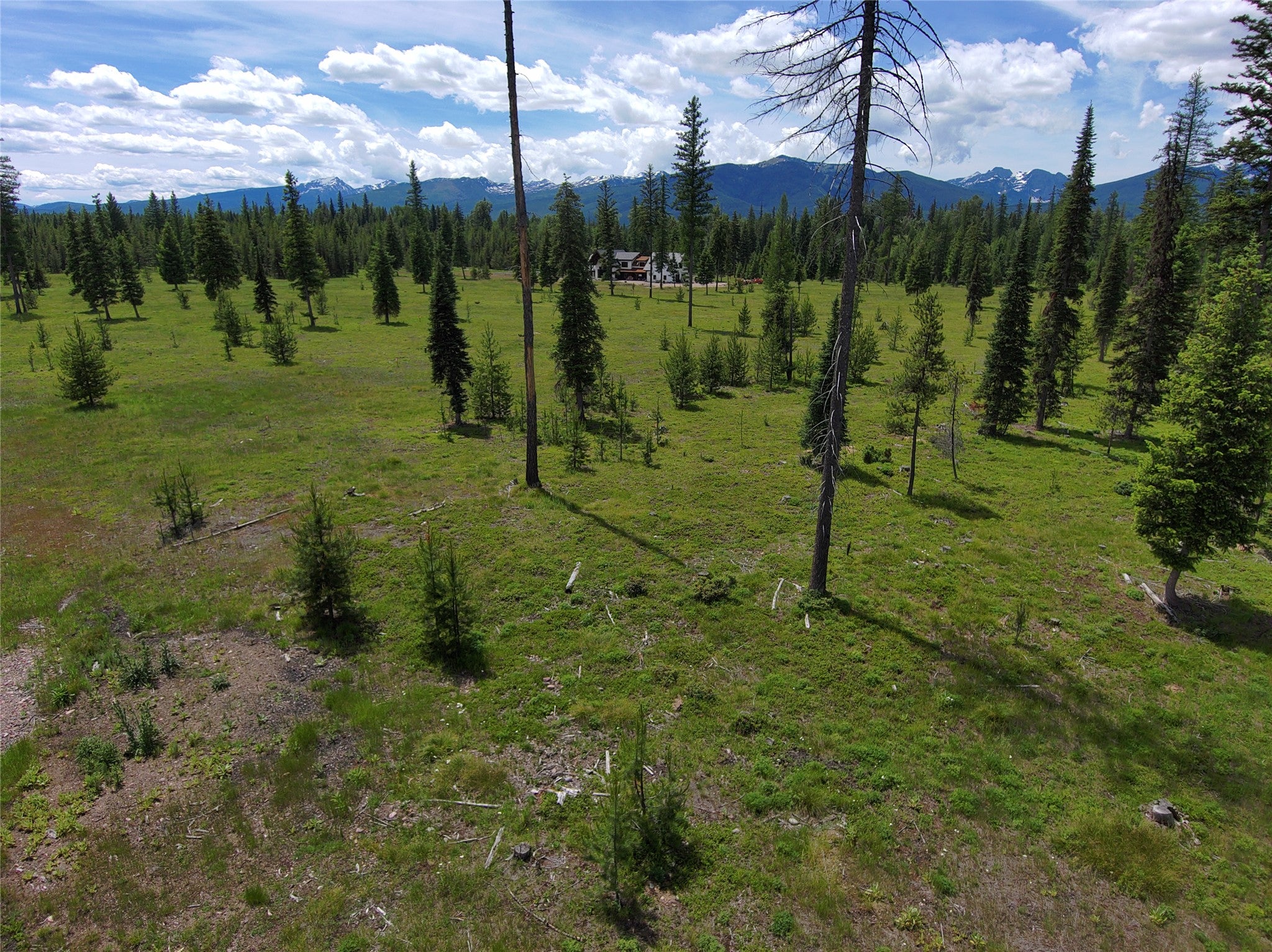 375 Remicks Road Condon, MT 59826 - Photo 9 of 40 Gallery Image 9