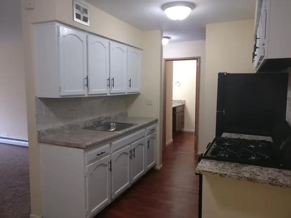 $1,400 | 1880 Bonnie Lane, Unit 414, Hoffman Estates, IL 60169