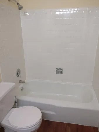 a bathroom with a toilet and a bathtub