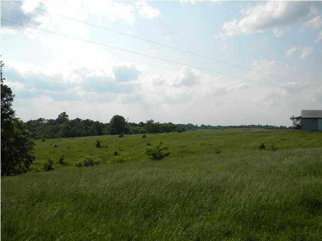 818 Martin Nethery Road, Unit 1B Waddy, KY 40076 - Photo 8 of 22 Additional Photo