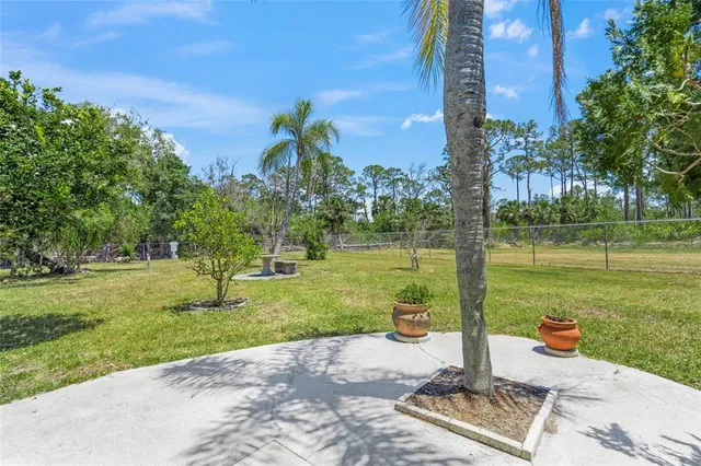 a park view with a fountain and a tree