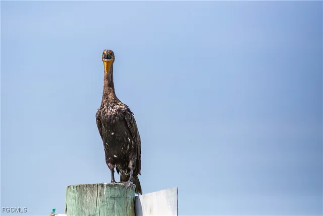 $245,000 | 4491 Butterfly Shell Drive, Upper Captiva, FL 33924