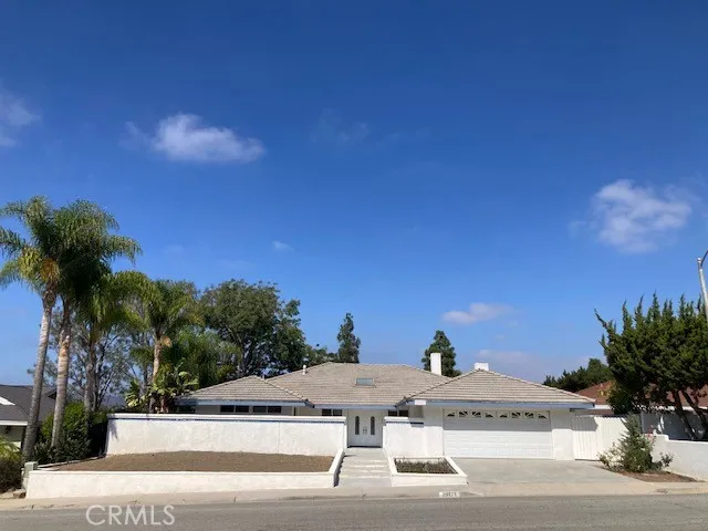 a view of street with tall trees
