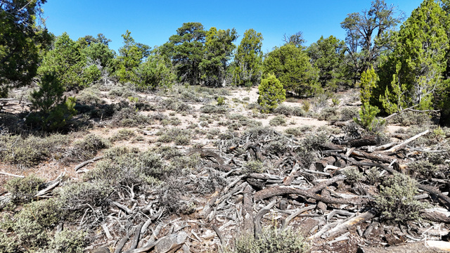 123 Tbd Prout Wash Road North Cedar City, UT 84721 - Photo 59 of 82