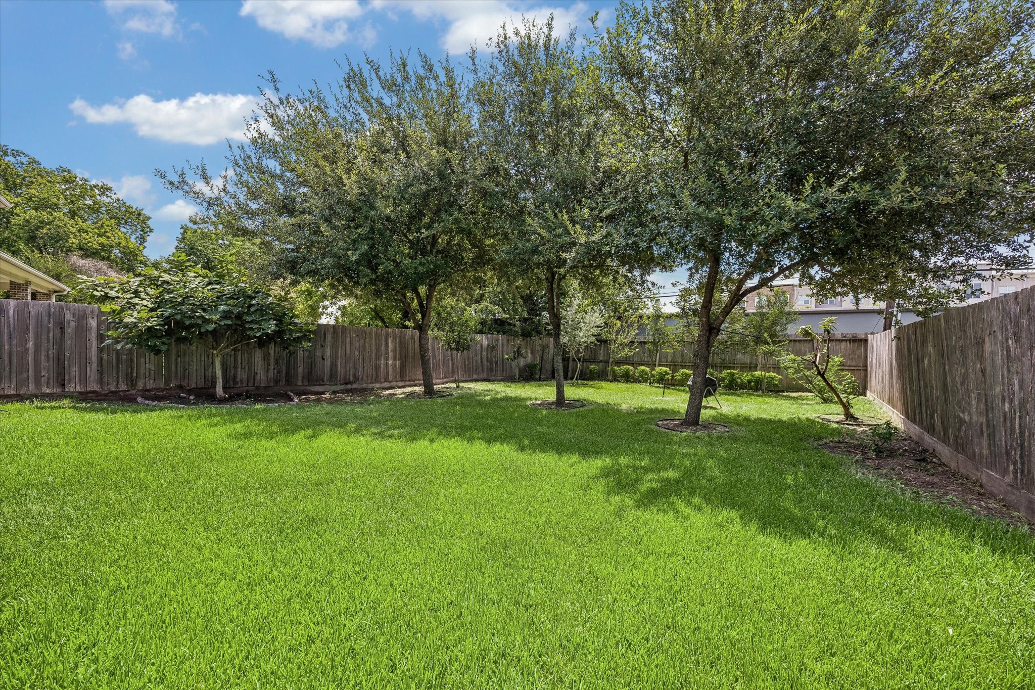Mature fig, persimmon, orange, lemon, blood orange, kumquat, and olive trees grace the property!