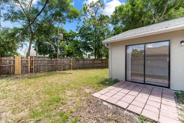a view of a backyard with a large tree