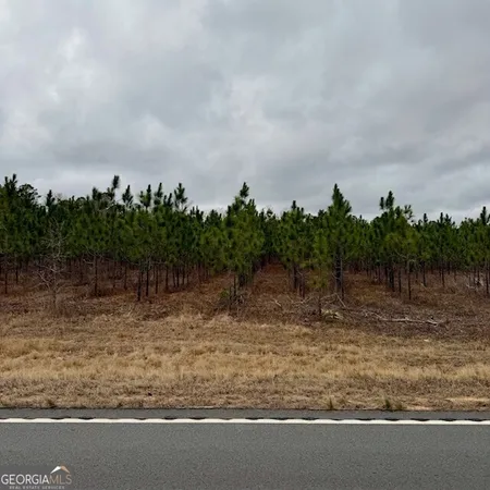 $425,000 | 2150 Buena Vista Highway, Mauk, GA 31058