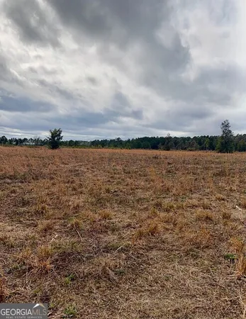 $425,000 | 2150 Buena Vista Highway, Mauk, GA 31058