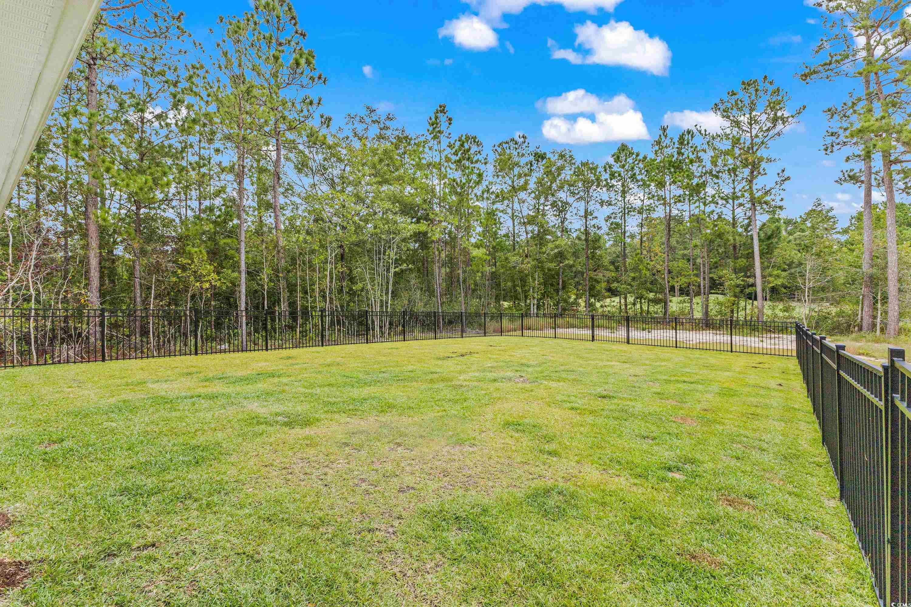 545 Timber Creek Drive Loris, SC 29569 - Photo 27 of 38