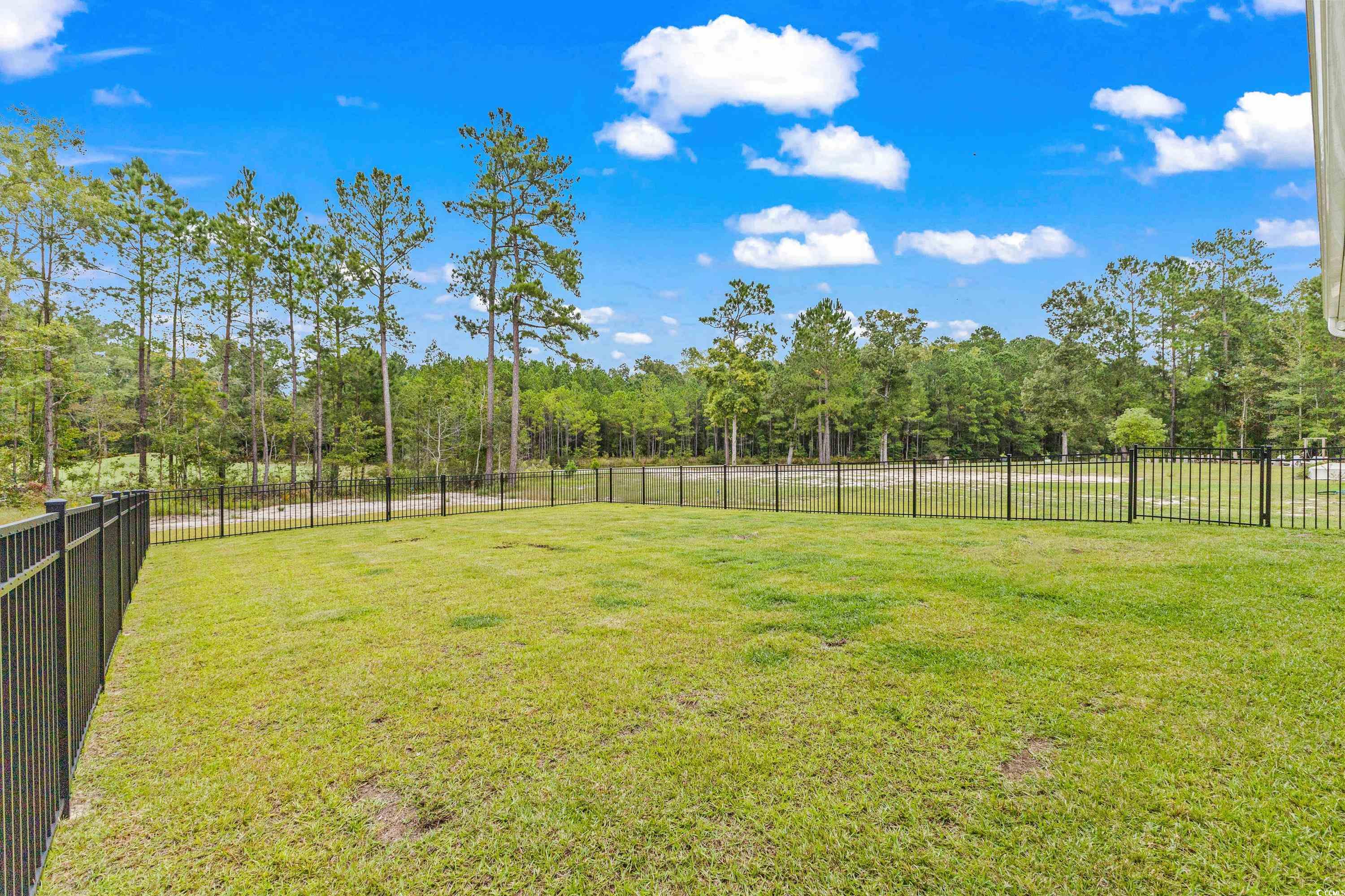 545 Timber Creek Drive Loris, SC 29569 - Photo 28 of 38