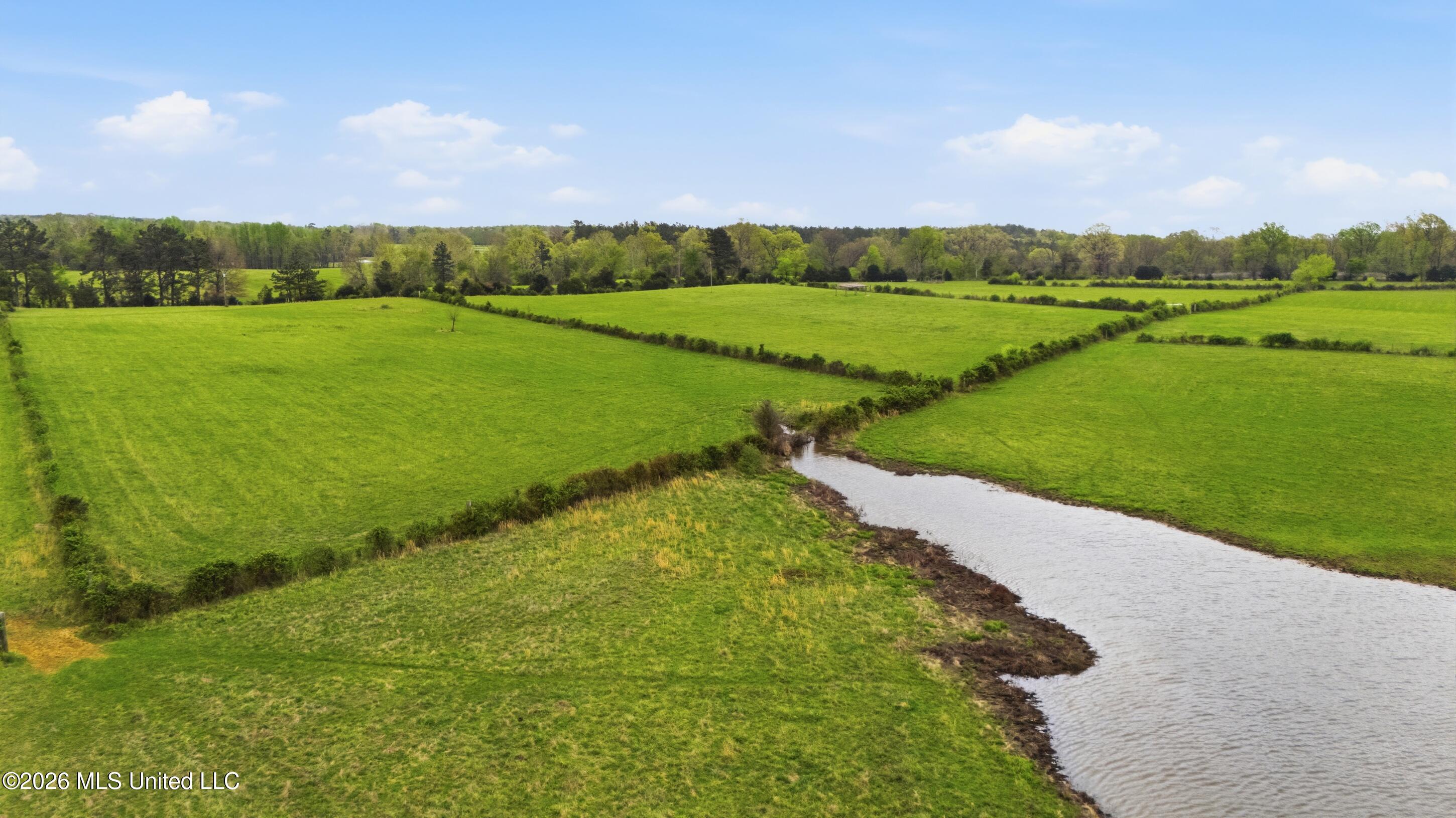 131 Laws Hill Road Holly Springs, MS 38635 - Photo 12 of 35 farm & land-017