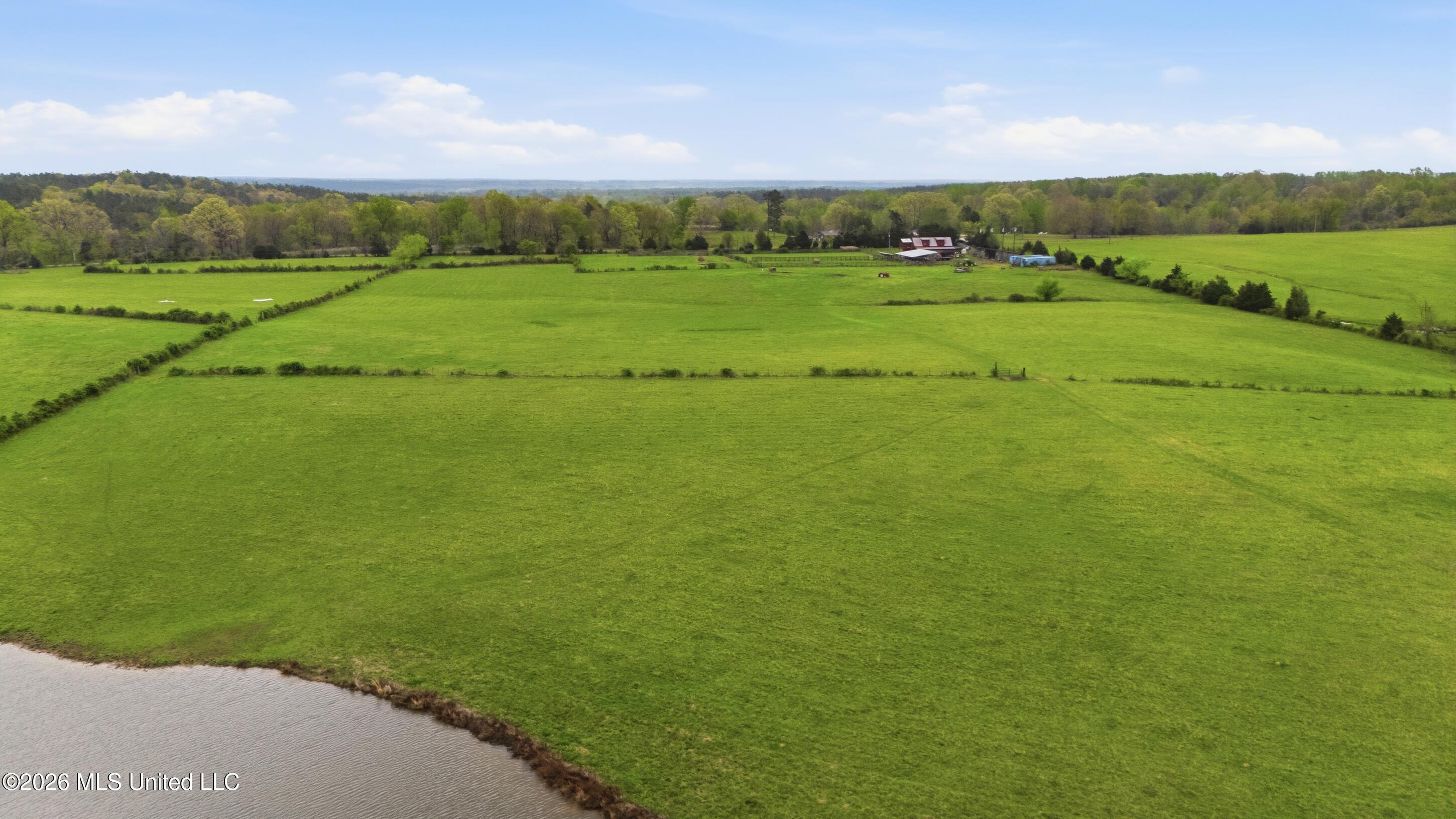 131 Laws Hill Road Holly Springs, MS 38635 - Photo 13 of 35 farm & land-018