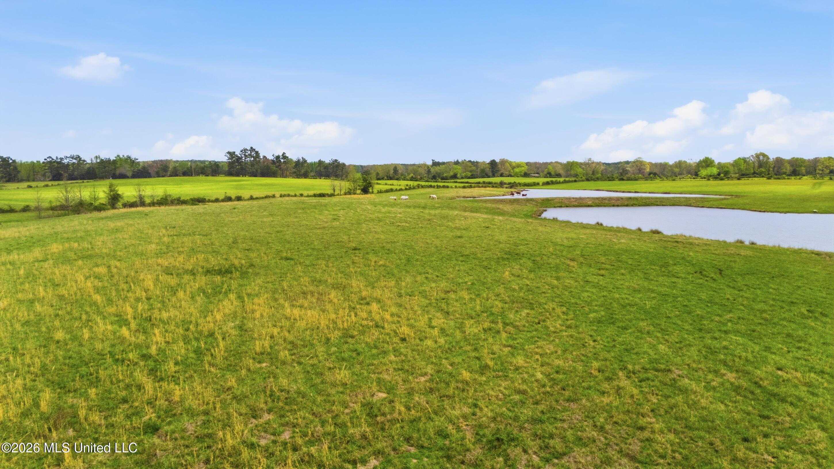 131 Laws Hill Road Holly Springs, MS 38635 - Photo 16 of 42 farm & land-014