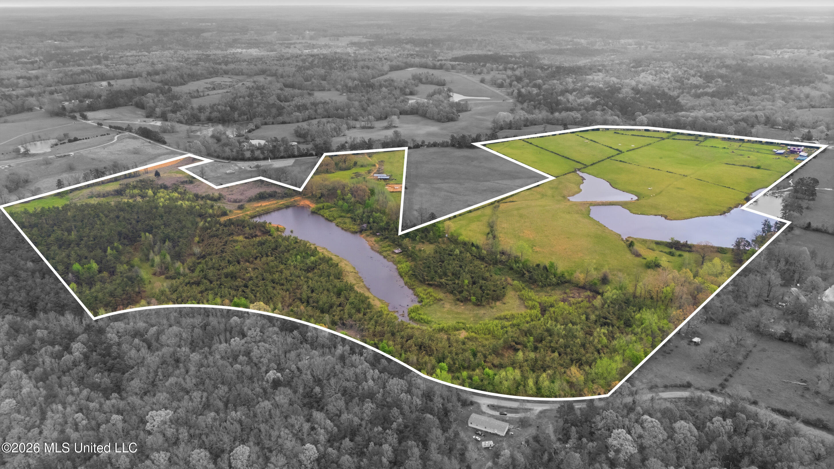 131 Laws Hill Road Holly Springs, MS 38635 - Photo 2 of 35 farm & land-01