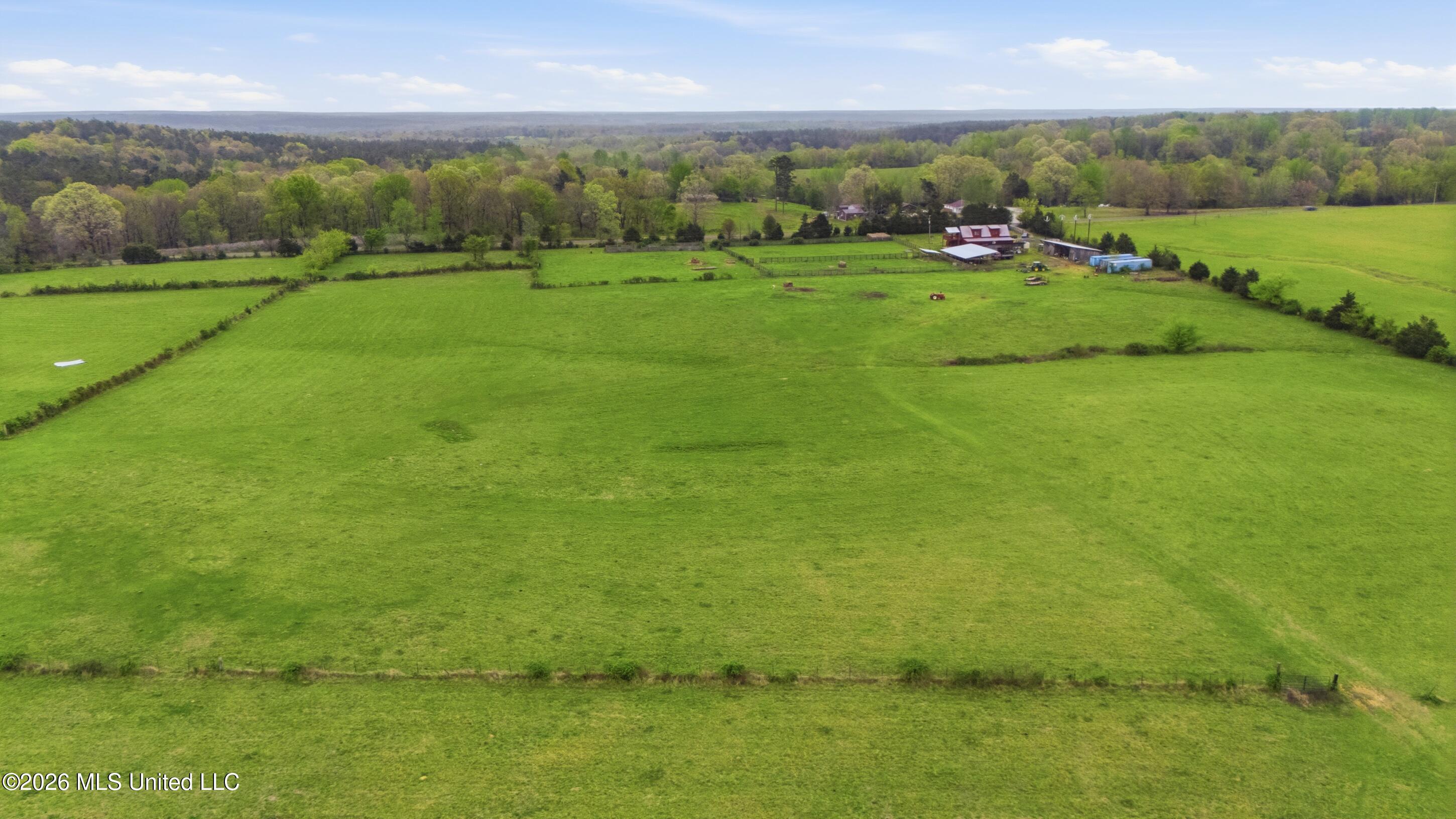 131 Laws Hill Road Holly Springs, MS 38635 - Photo 21 of 42 farm & land-019