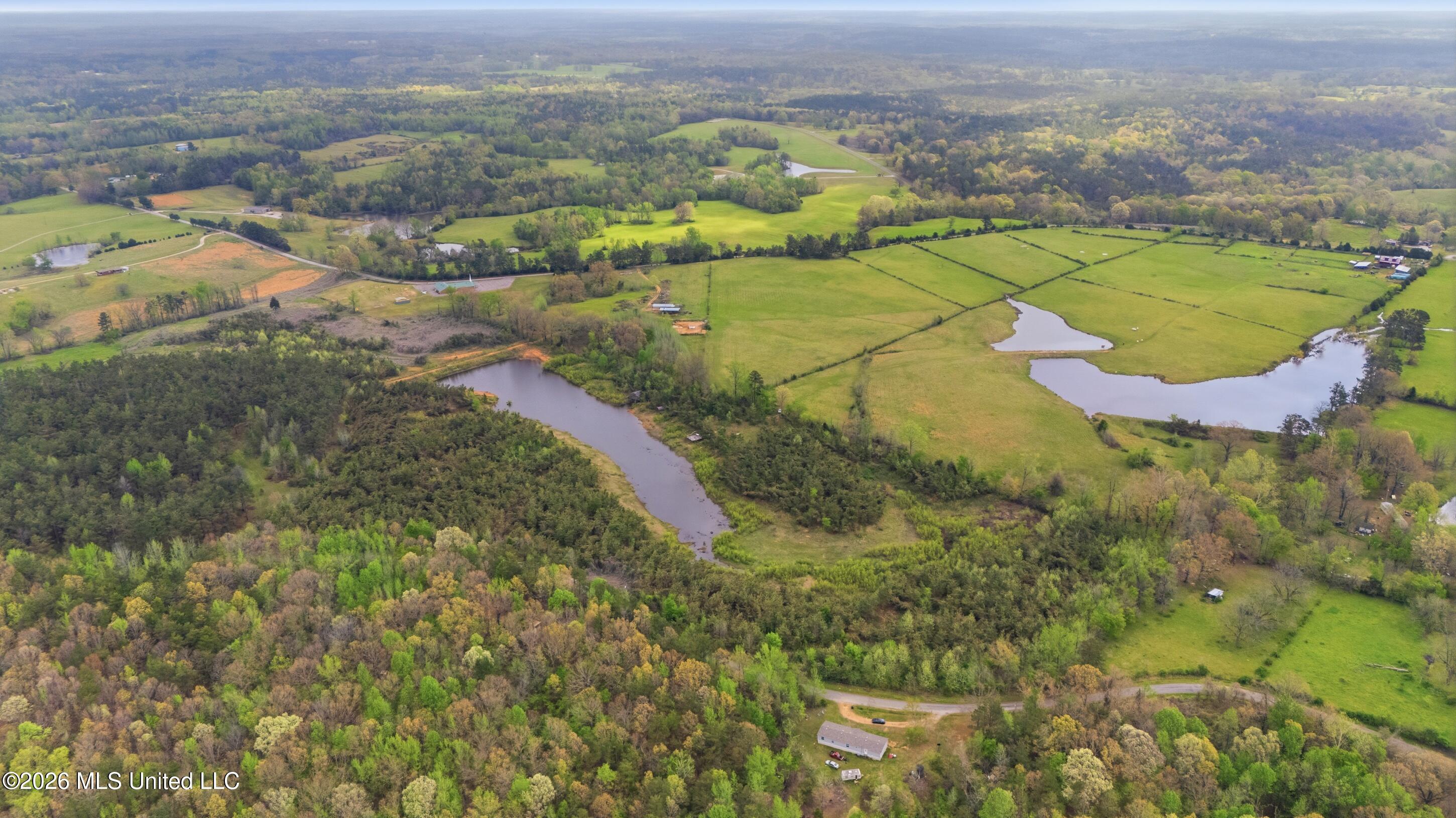 131 Laws Hill Road Holly Springs, MS 38635 - Photo 23 of 35 farm & land-032