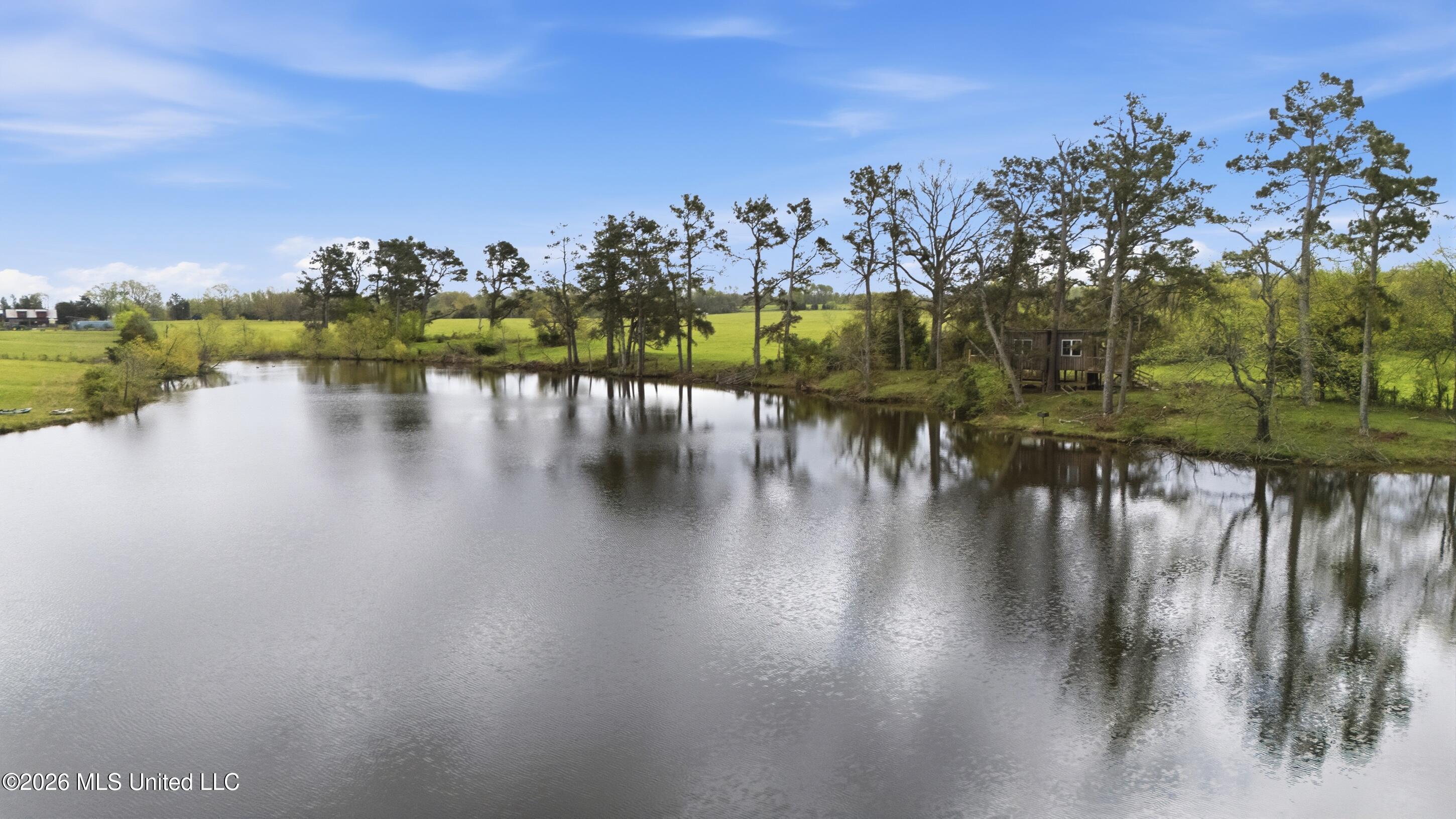 131 Laws Hill Road Holly Springs, MS 38635 - Photo 26 of 35 farm & land-028