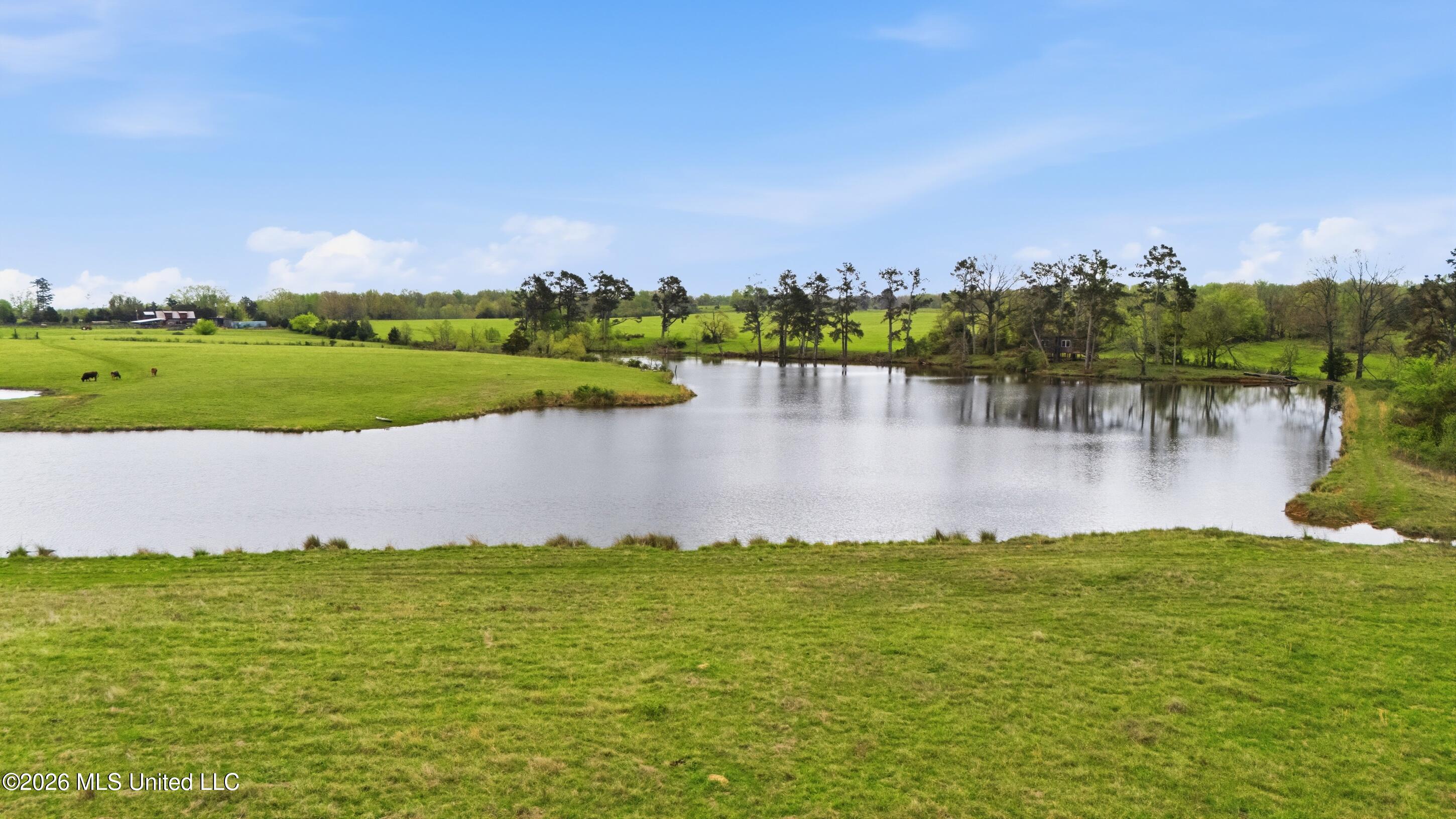 131 Laws Hill Road Holly Springs, MS 38635 - Photo 27 of 35 farm & land-027