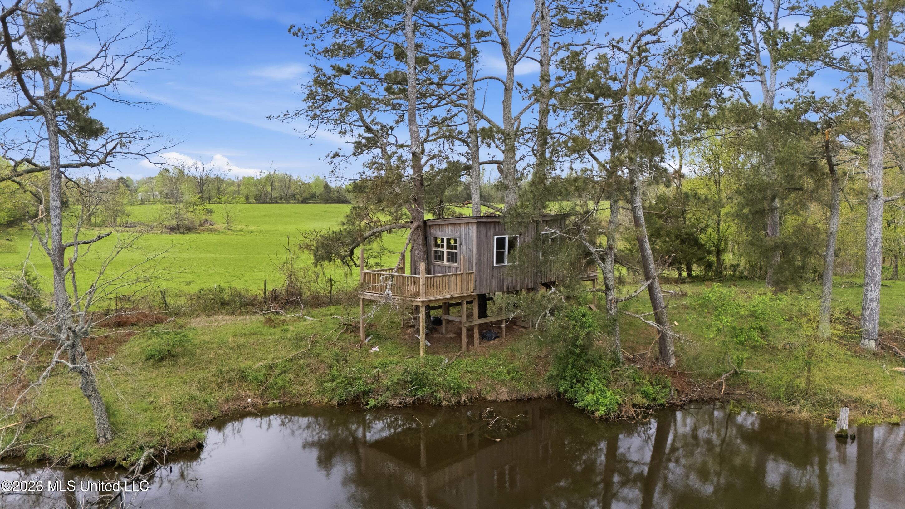 131 Laws Hill Road Holly Springs, MS 38635 - Photo 32 of 42 farm & land-029