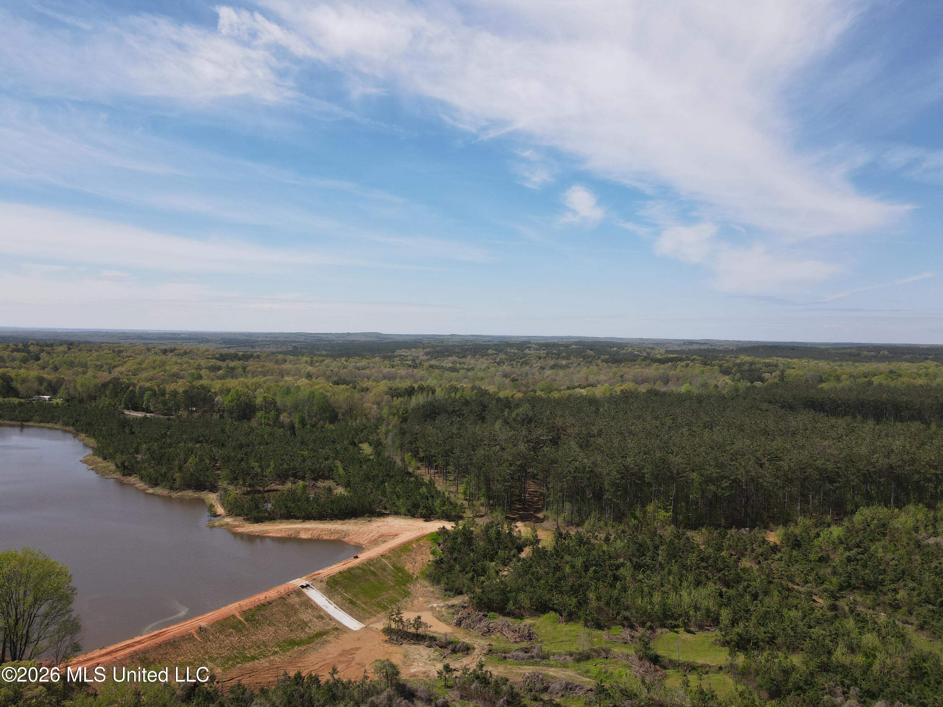 131 Laws Hill Road Holly Springs, MS 38635 - Photo 41 of 42 dji_fly_20230410_112420_113_168114387194