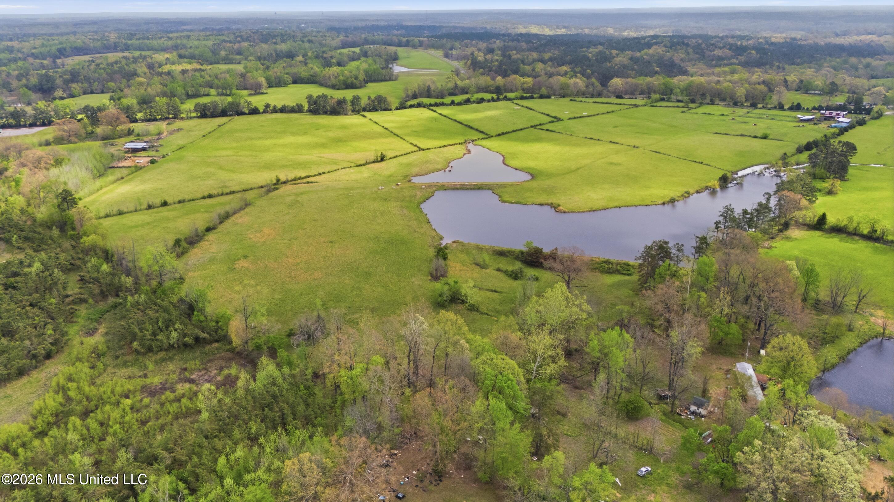 131 Laws Hill Road Holly Springs, MS 38635 - Photo 8 of 35 farm & land-011