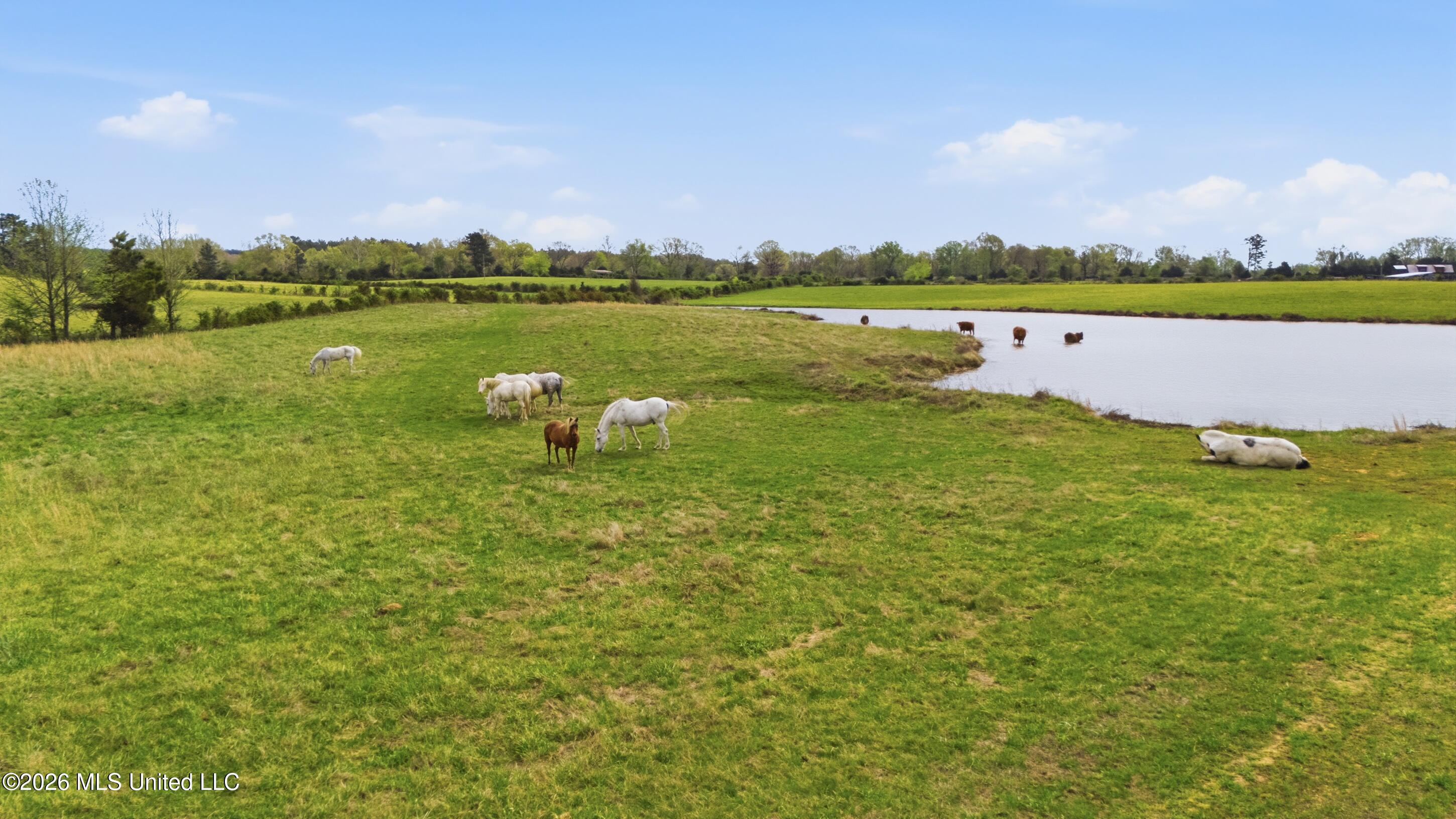 131 Laws Hill Road Holly Springs, MS 38635 - Photo 10 of 35 farm & land-015