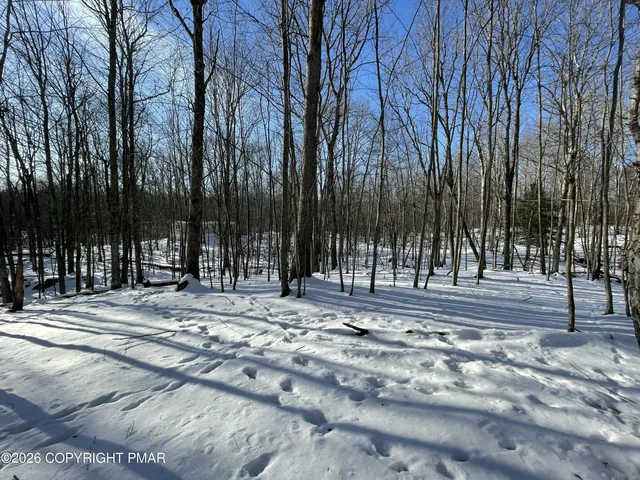 $48,000 | 217 Lane Cresco Pa, Cresco, PA 18326