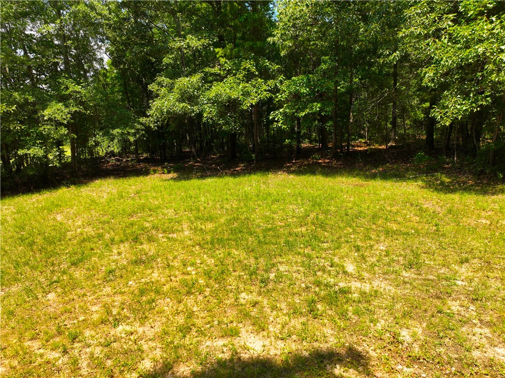 1198 Mize Road Belton, SC 29627 - Photo 13 of 50