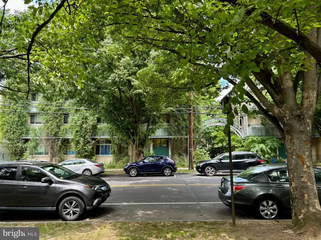 a view of a street with potted plants and large trees