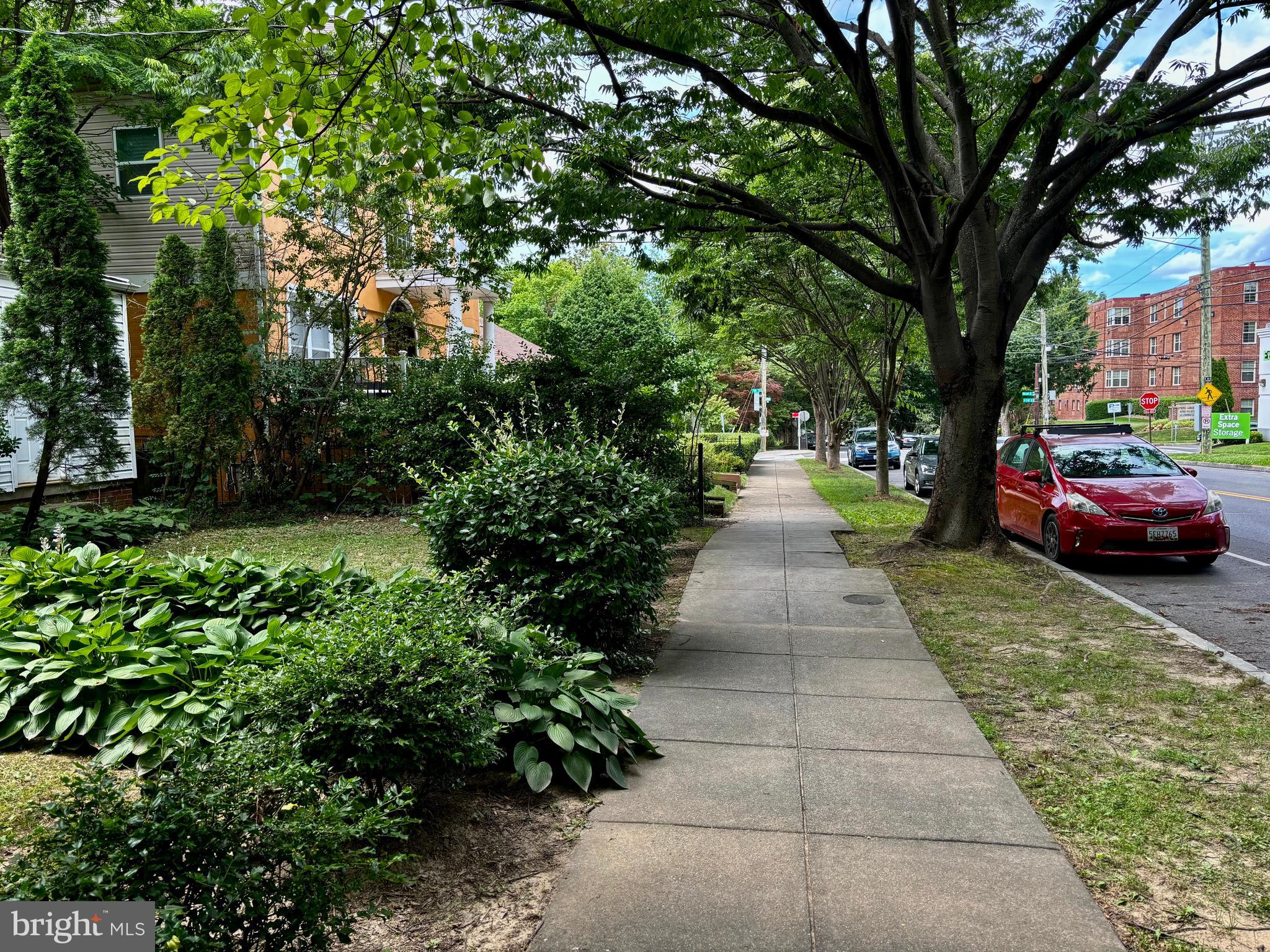 8028 Eastern Avenue Northwest Washington, DC 20012 - Photo 17 of 54 a view of a street with potted plants and large trees