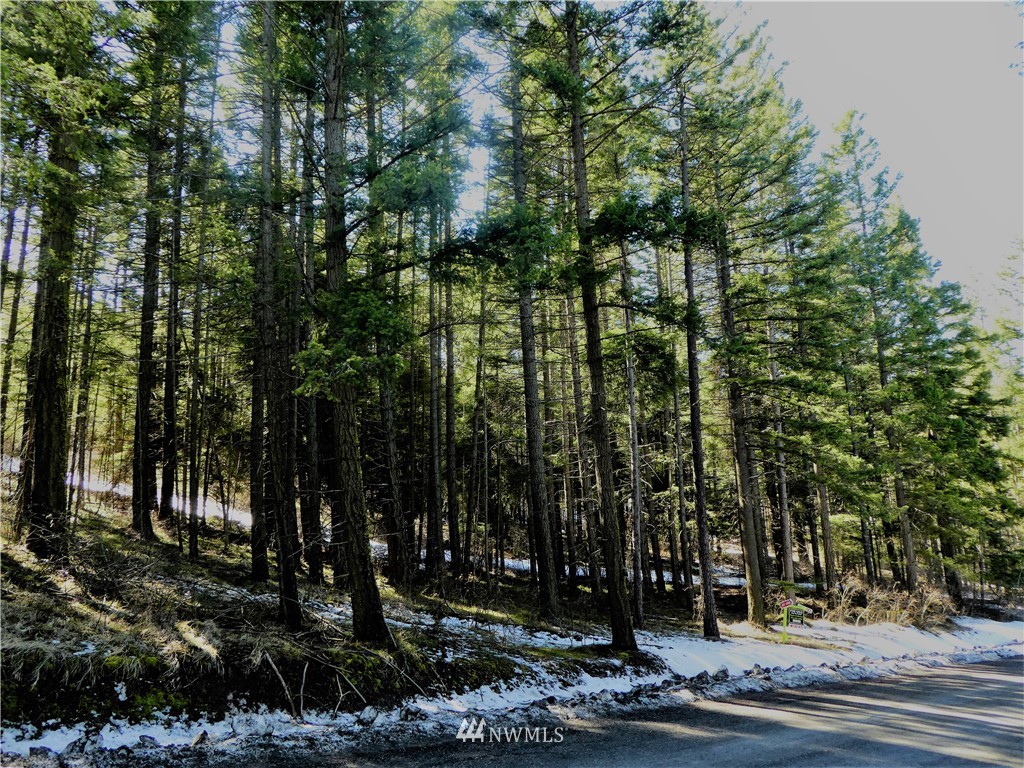 2 Casassa Road Cle Elum, WA 98922 - Photo 1 of 11 Gallery Image 1