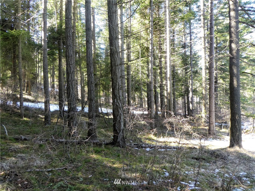 2 Casassa Road Cle Elum, WA 98922 - Photo 3 of 11 Gallery Image 3