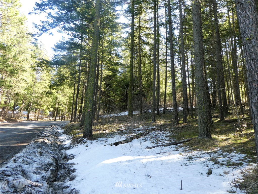 2 Casassa Road Cle Elum, WA 98922 - Photo 4 of 11 Gallery Image 4