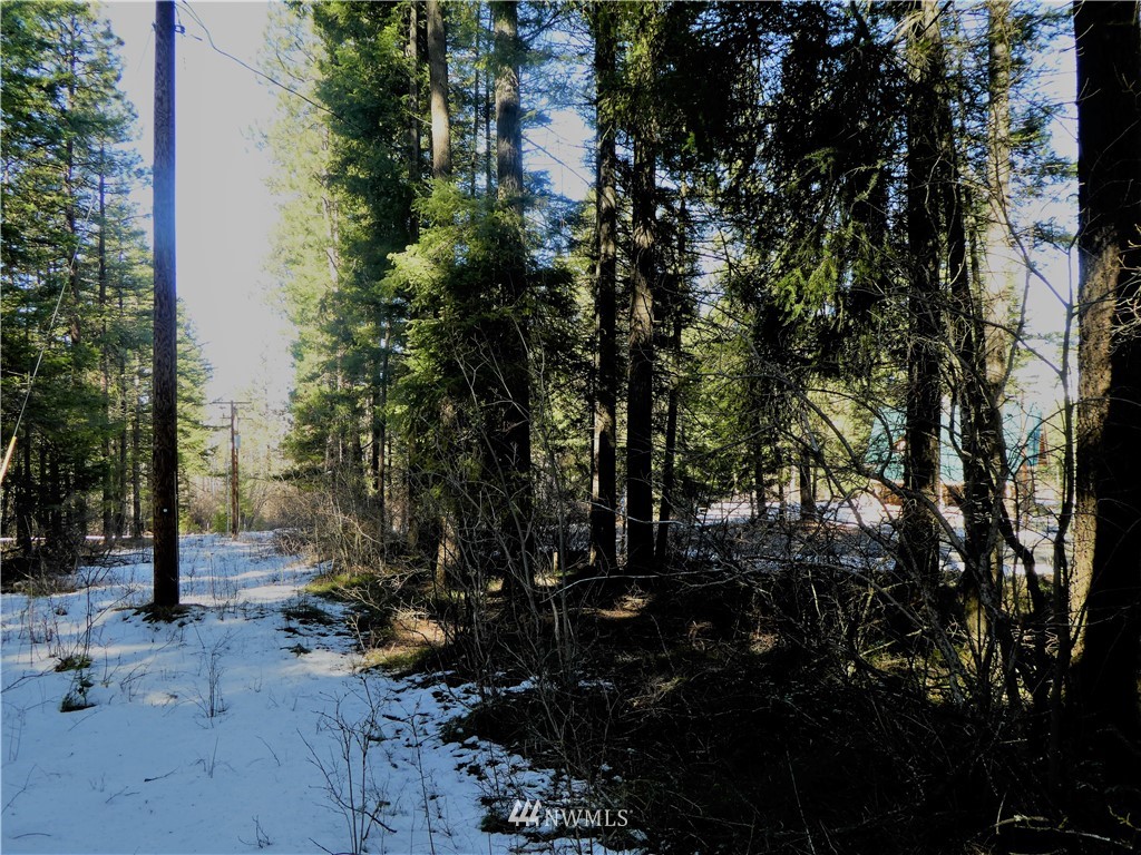 2 Casassa Road Cle Elum, WA 98922 - Photo 5 of 11 Gallery Image 5
