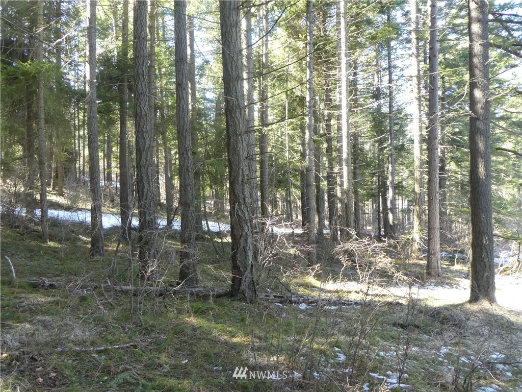 2 Casassa Road Cle Elum, WA 98922 - Photo 8 of 11 Gallery Image 8