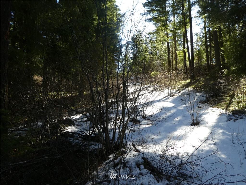 2 Casassa Road Cle Elum, WA 98922 - Photo 9 of 11 Gallery Image 9