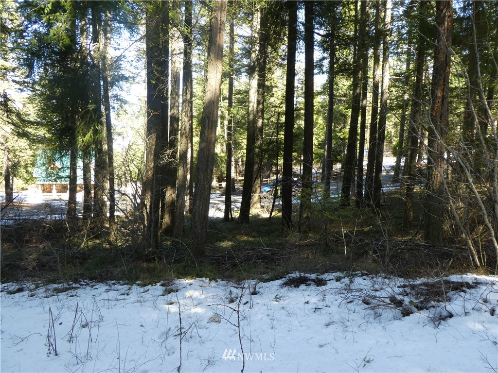 2 Casassa Road Cle Elum, WA 98922 - Photo 10 of 11 Gallery Image 10
