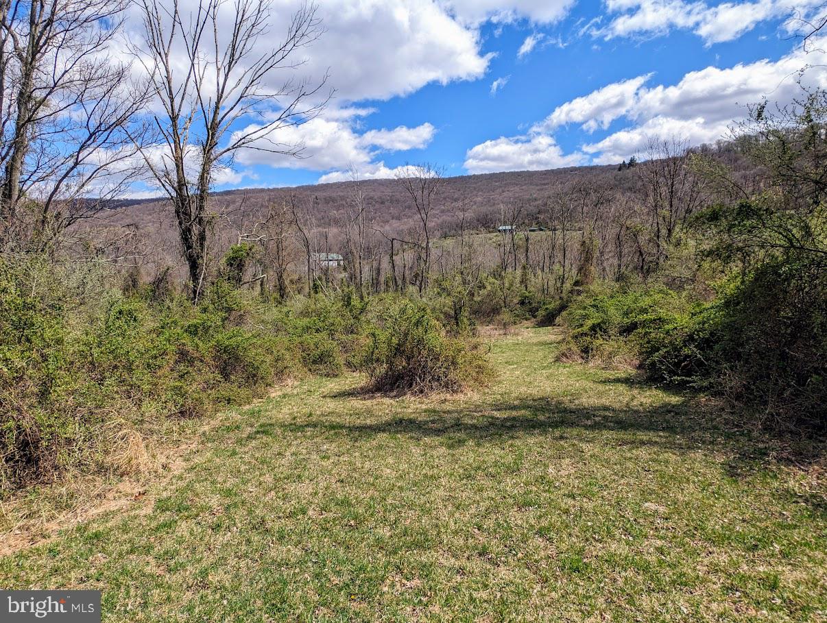 1301 Milligans Cove Road Buffalo Mills, PA 15534 - Photo 11 of 31 Gallery Image 11