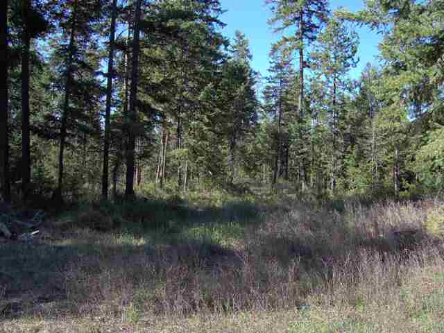 40605 North Madison Road Elk, WA 99009 - Photo 1 of 4