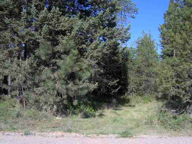 40605 North Madison Road Elk, WA 99009 - Photo 2 of 4