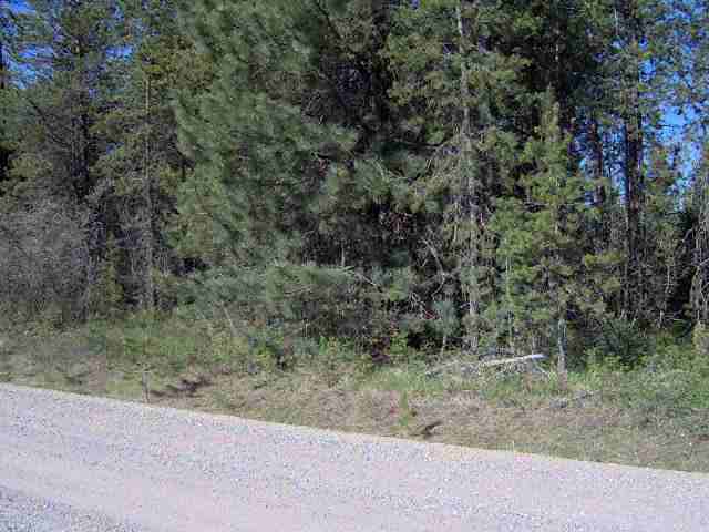 40605 North Madison Road Elk, WA 99009 - Photo 3 of 4