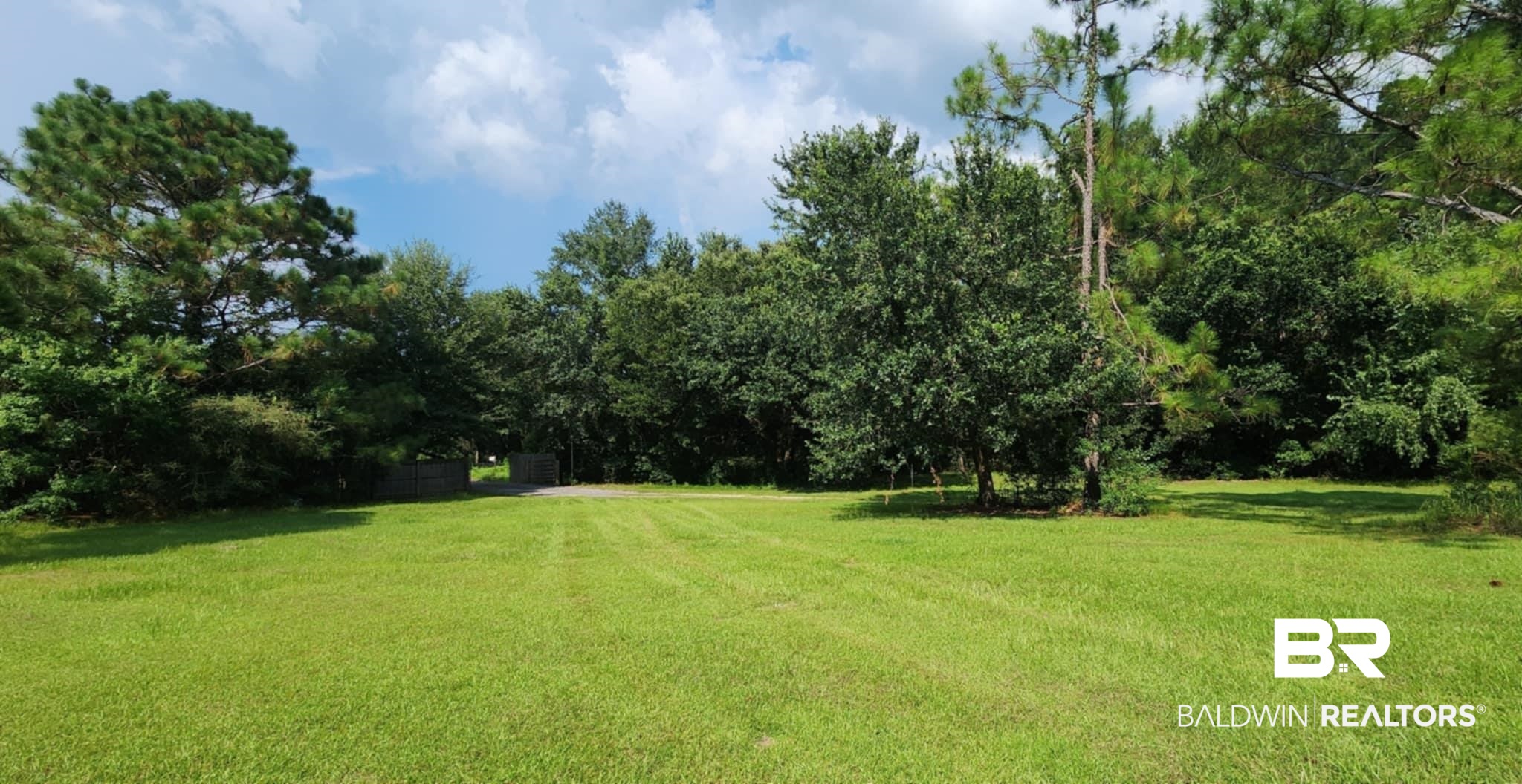 29049 Loper Road Loxley, AL 36551 - Photo 7 of 23 View of grassy yard with view of wooded area